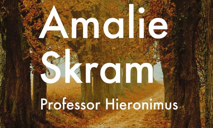 Professor Hieronmus av Amalie Skram omslag