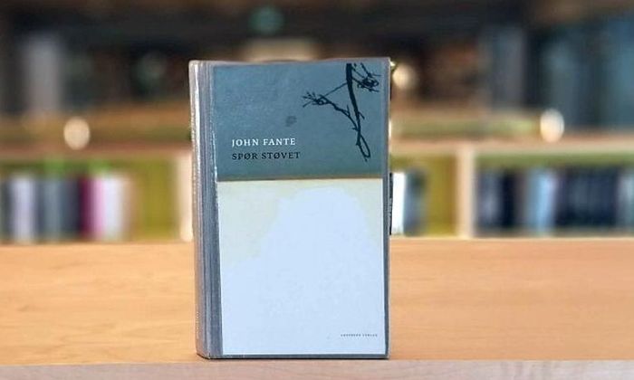 Boken Spør støvet av John Fante stende på hylle i biblioteket