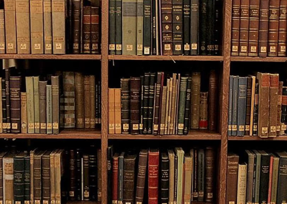 Bibliotek