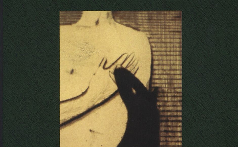 Fangeliv av Roy Jacobsen utsnitt av bokomslag