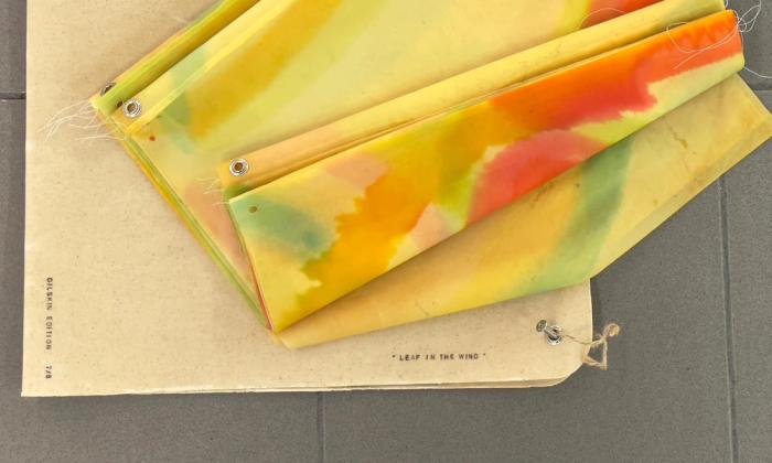 Leaf in the Wind, by Kristen Keegan, published by Oilskin Editions. Image: Anne Helen Robberstad
