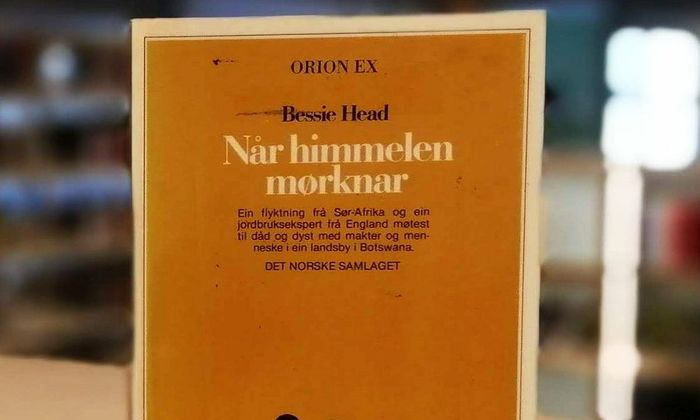 Når himmelen mørknar av Bessie Head