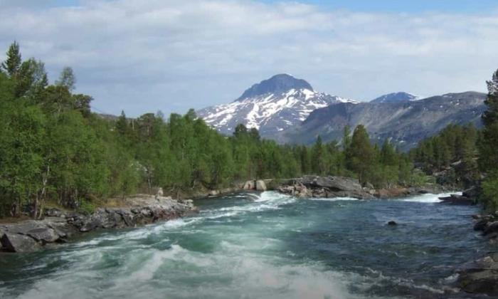 Fotografi av skog, elv og fjell i Saltdal