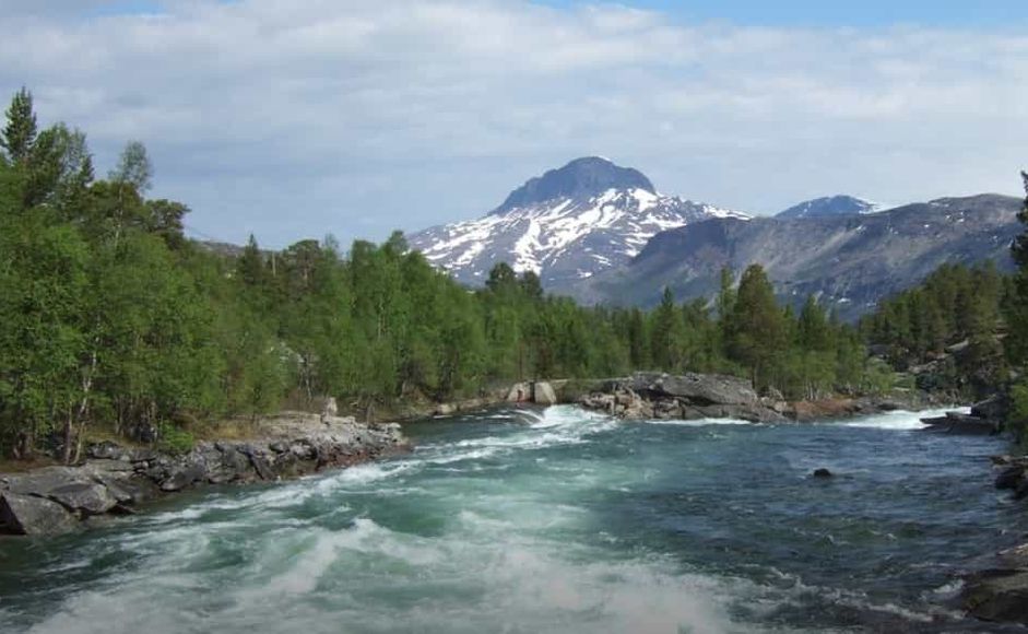 Fotografi av skog, elv og fjell i Saltdal