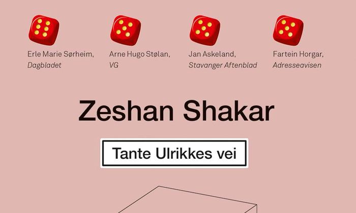 Omslag til Tante Ulrikkes vei av Zeshan Shakar