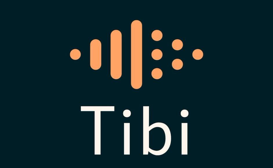 Tibi, biblioteket for tilrettelagt litteratur