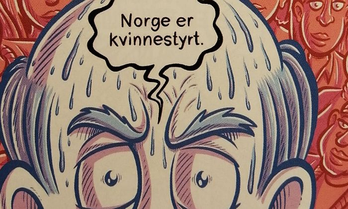 Illustrert kommentarfelt av Trond J. Stavås
