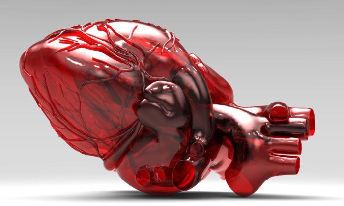 Caring Futures, utstilling i Sølvberget galleri 17. september – 20. november 2022.